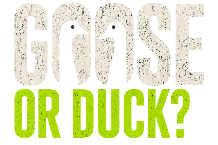Goose or Duck?